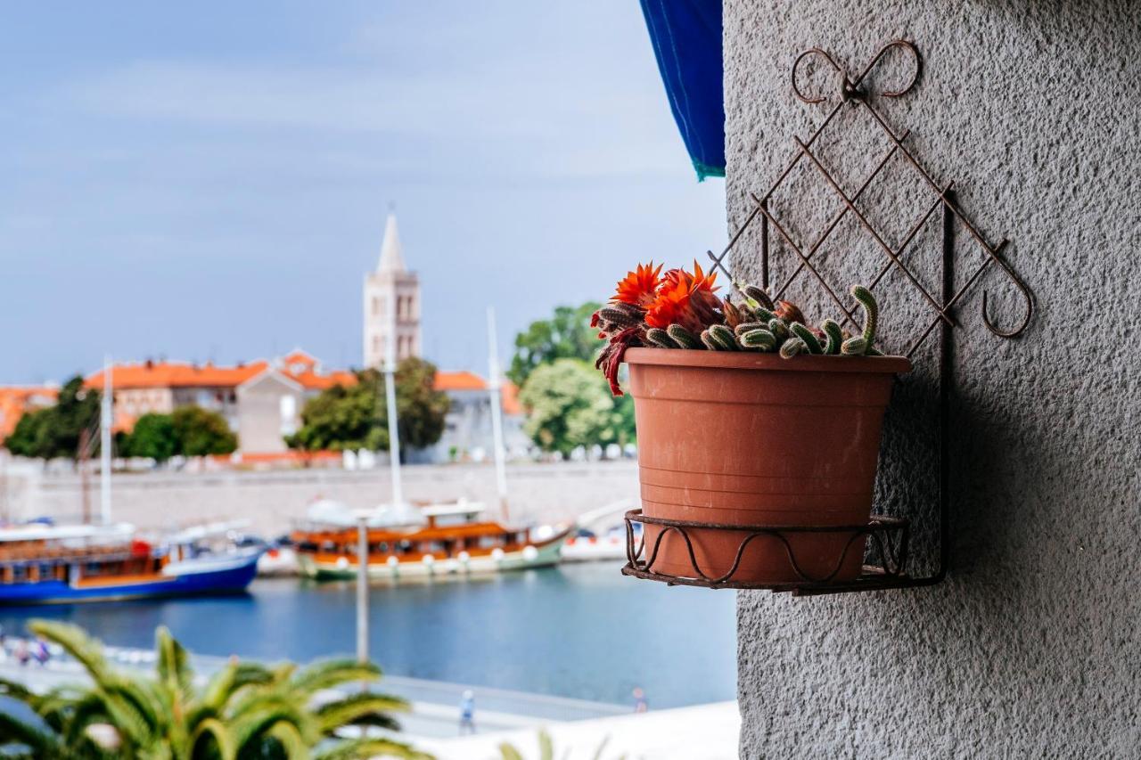 Art&View Lägenhet Zadar Exteriör bild